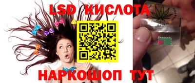 спиды Моздок